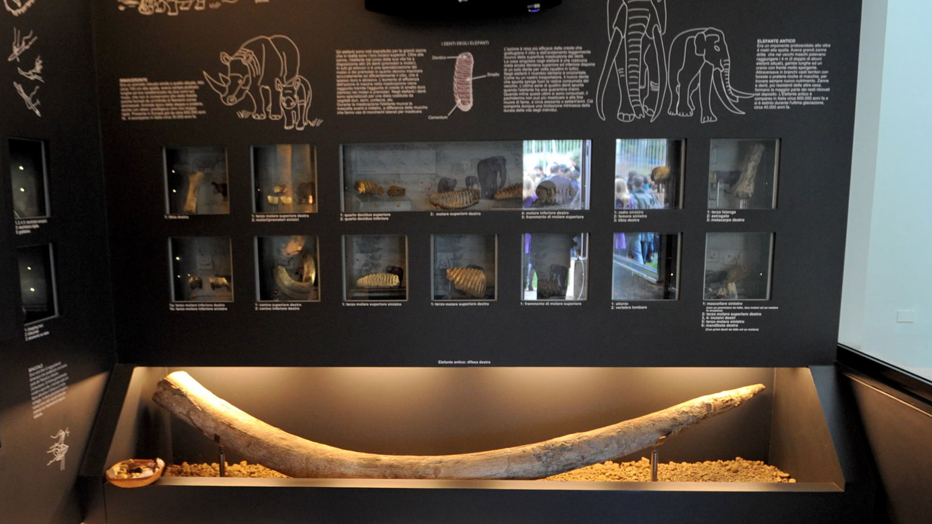 
Viaggio del "Matto" a Casal de' Pazzi