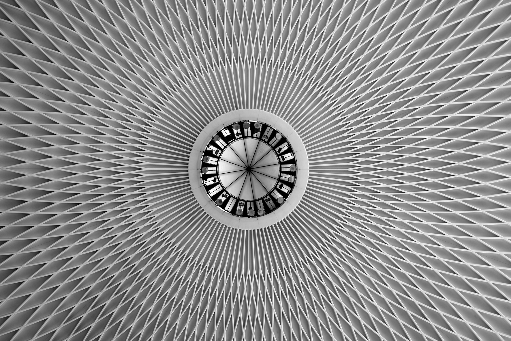 
Palazzetto dello Sport: un puzzle 3D