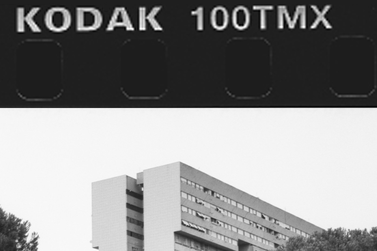 
Natura residente. Paesaggio in trasformazione