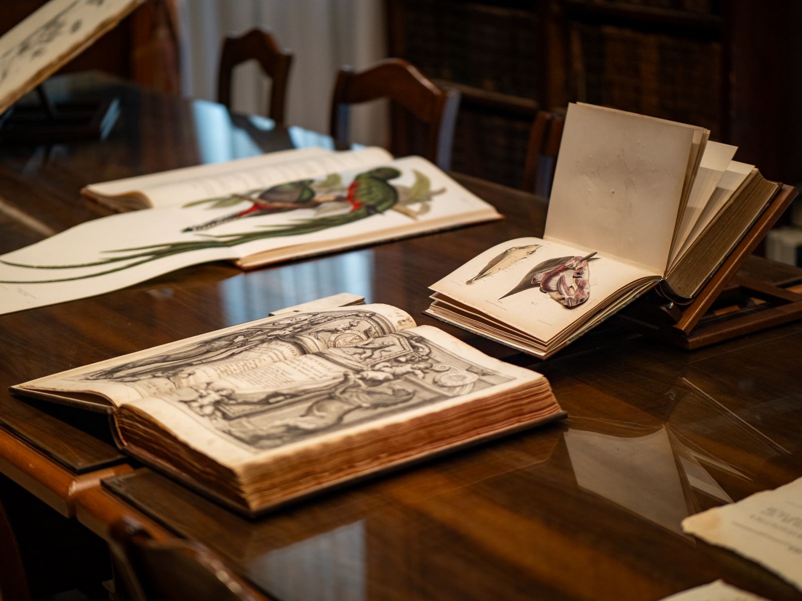 
Il Palazzo dell'Agricoltura