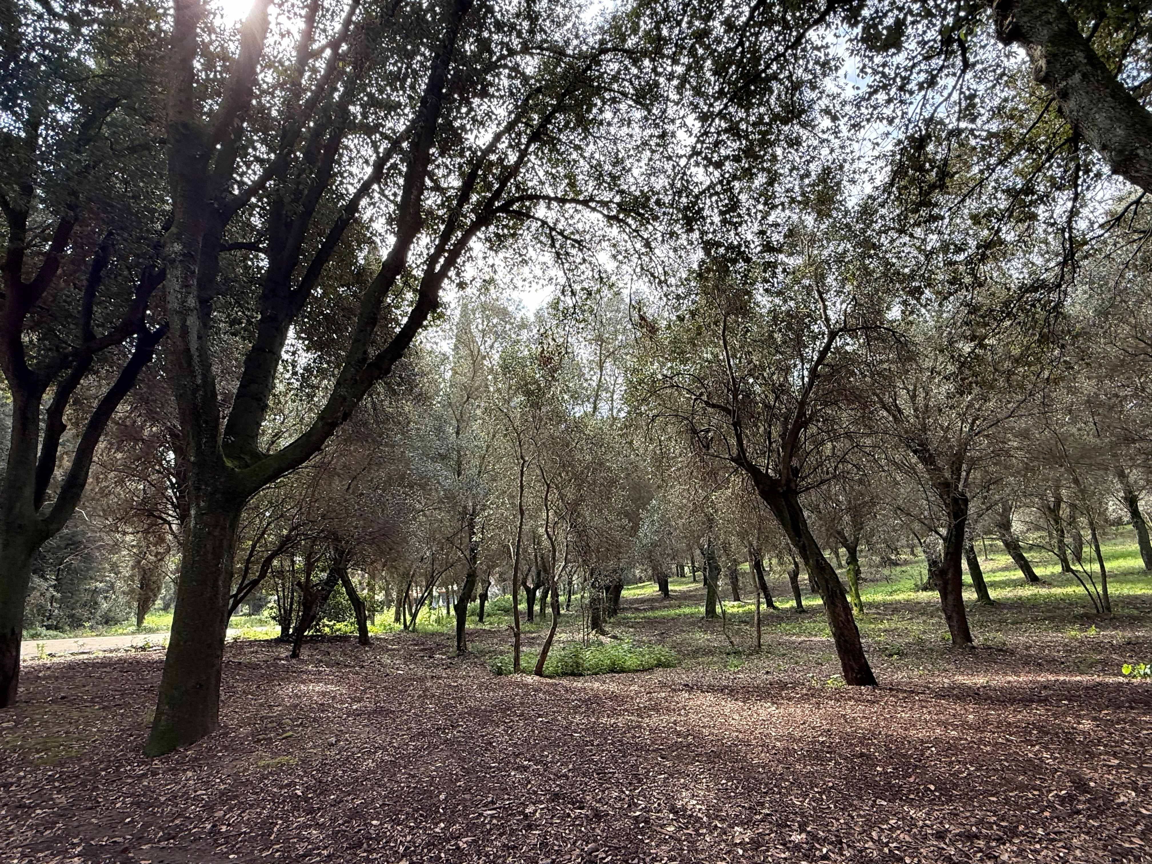 
Parco della Rimembranza