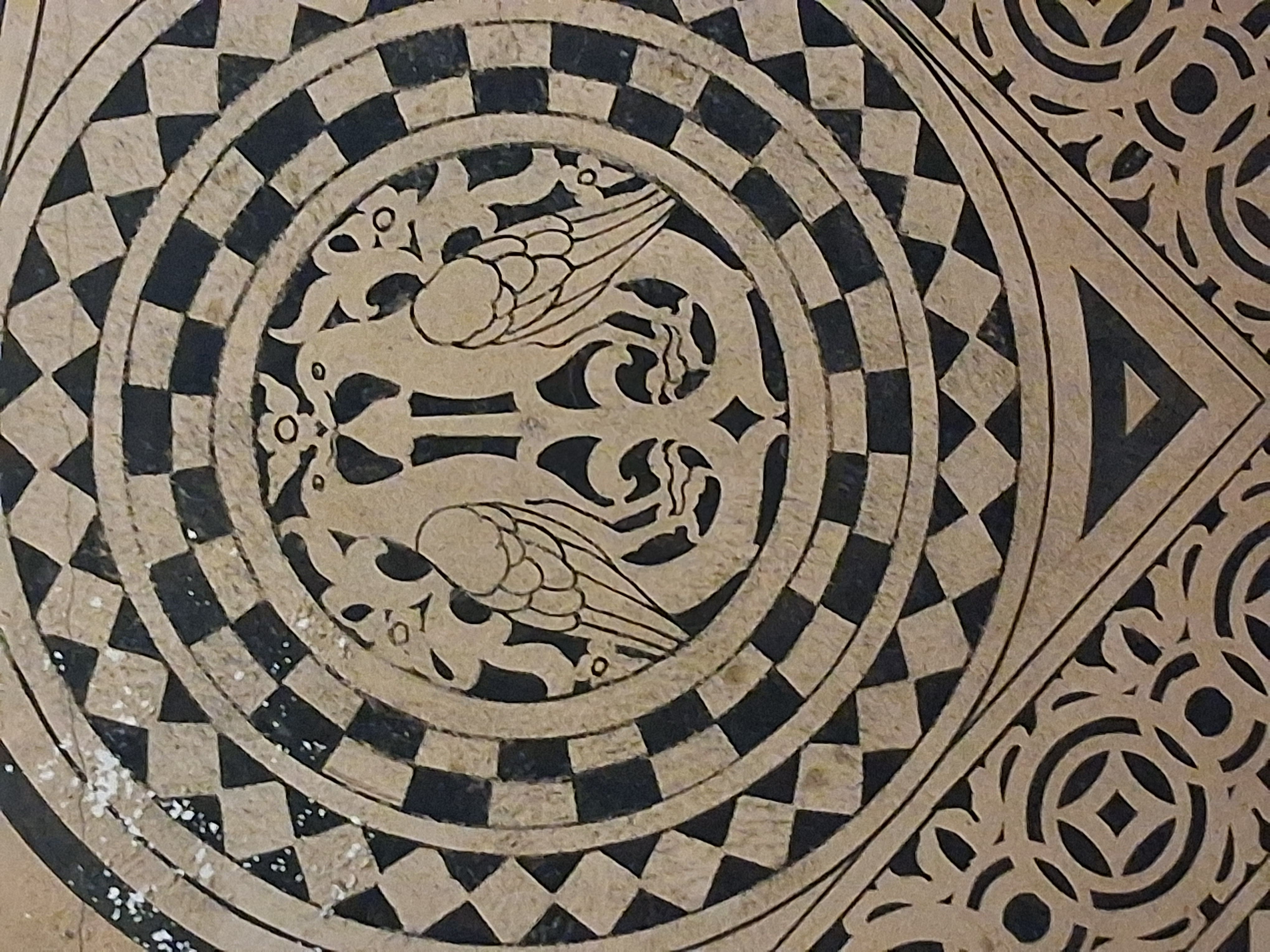 
Spazio Veneziano: NATURA FANTASTICA. ASPETTANDO COPPEDÈ 2027