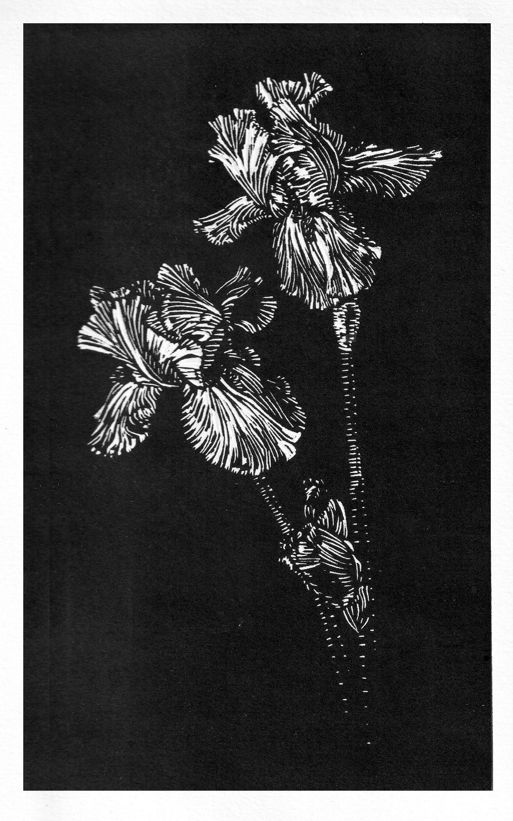 
In a State of Ubiquity - Esplorazioni visive