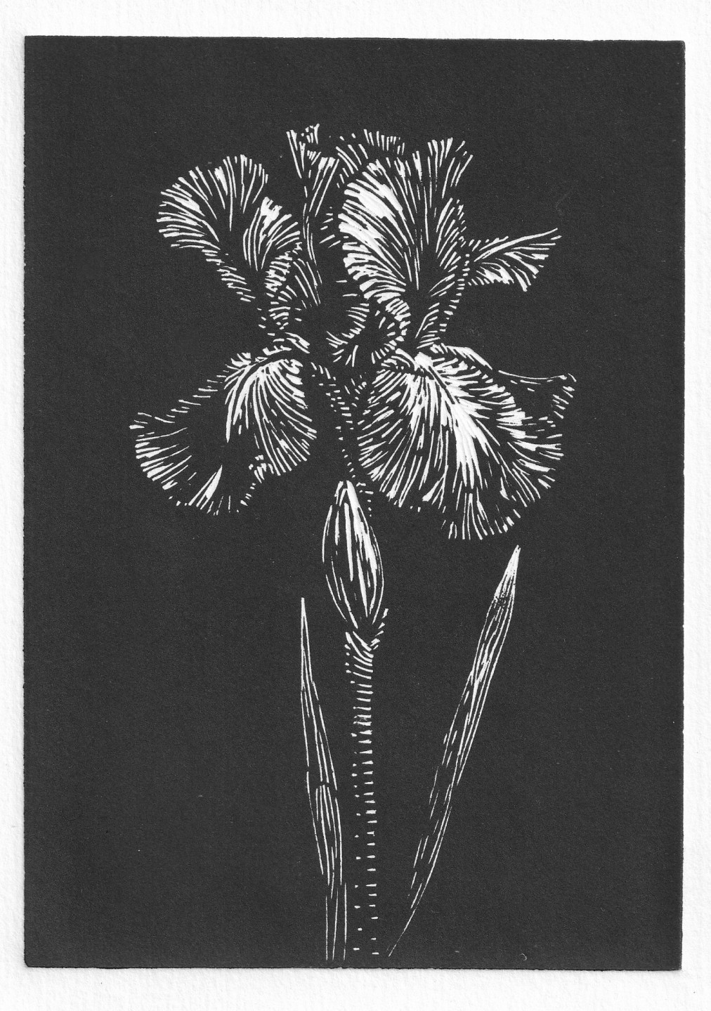 
In a State of Ubiquity - Esplorazioni visive