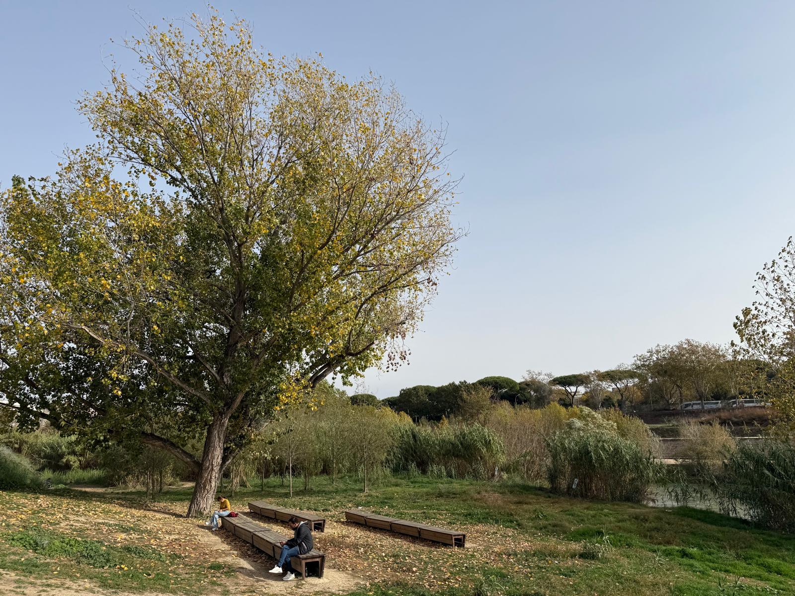 
Parco Tevere Marconi