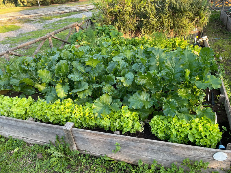 
Orto Urbano Auditorium Parco della Musica