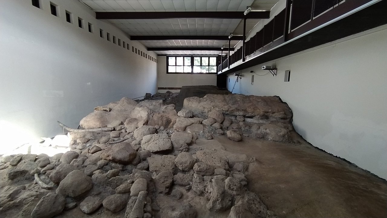 
A Rebibbia-Casal de' Pazzi tra Preistoria e Presente, tra Natura e Città