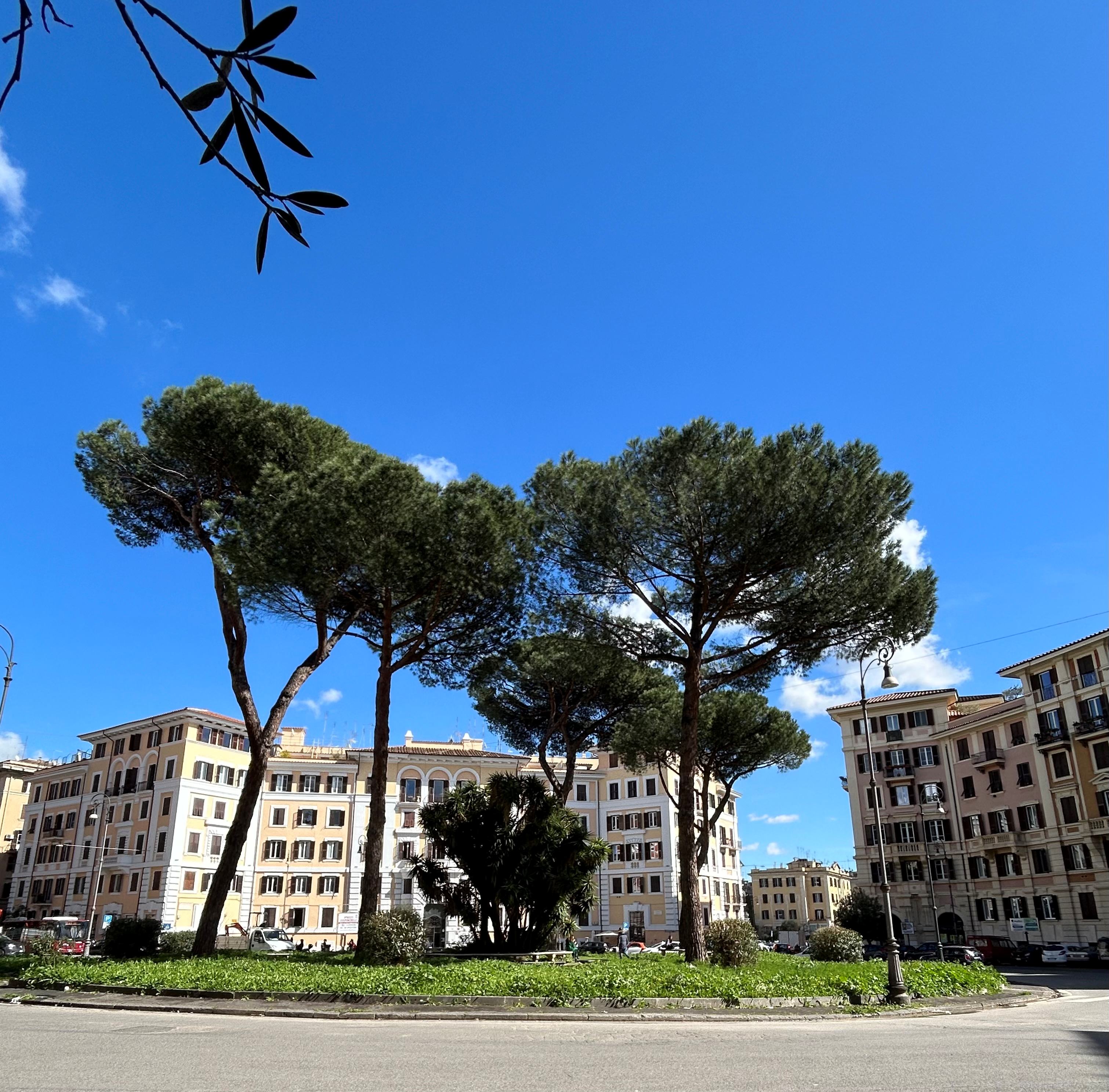 
L’eredità di Villa Lancellotti: linee, spazi e parchi