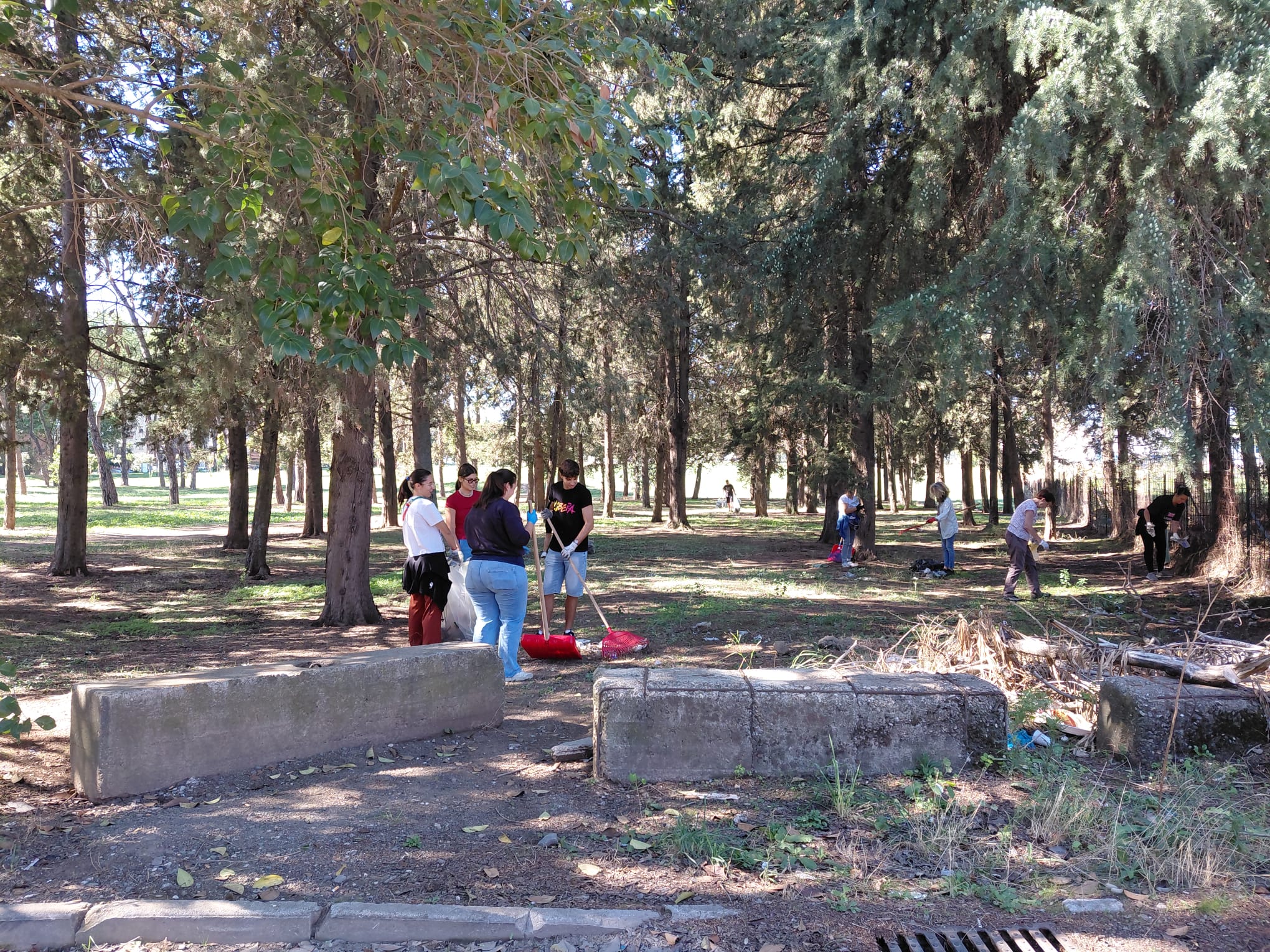 
Dibattito: Abitare i luoghi in periferia, edilizia popolare e quel che resta del verde pubblico