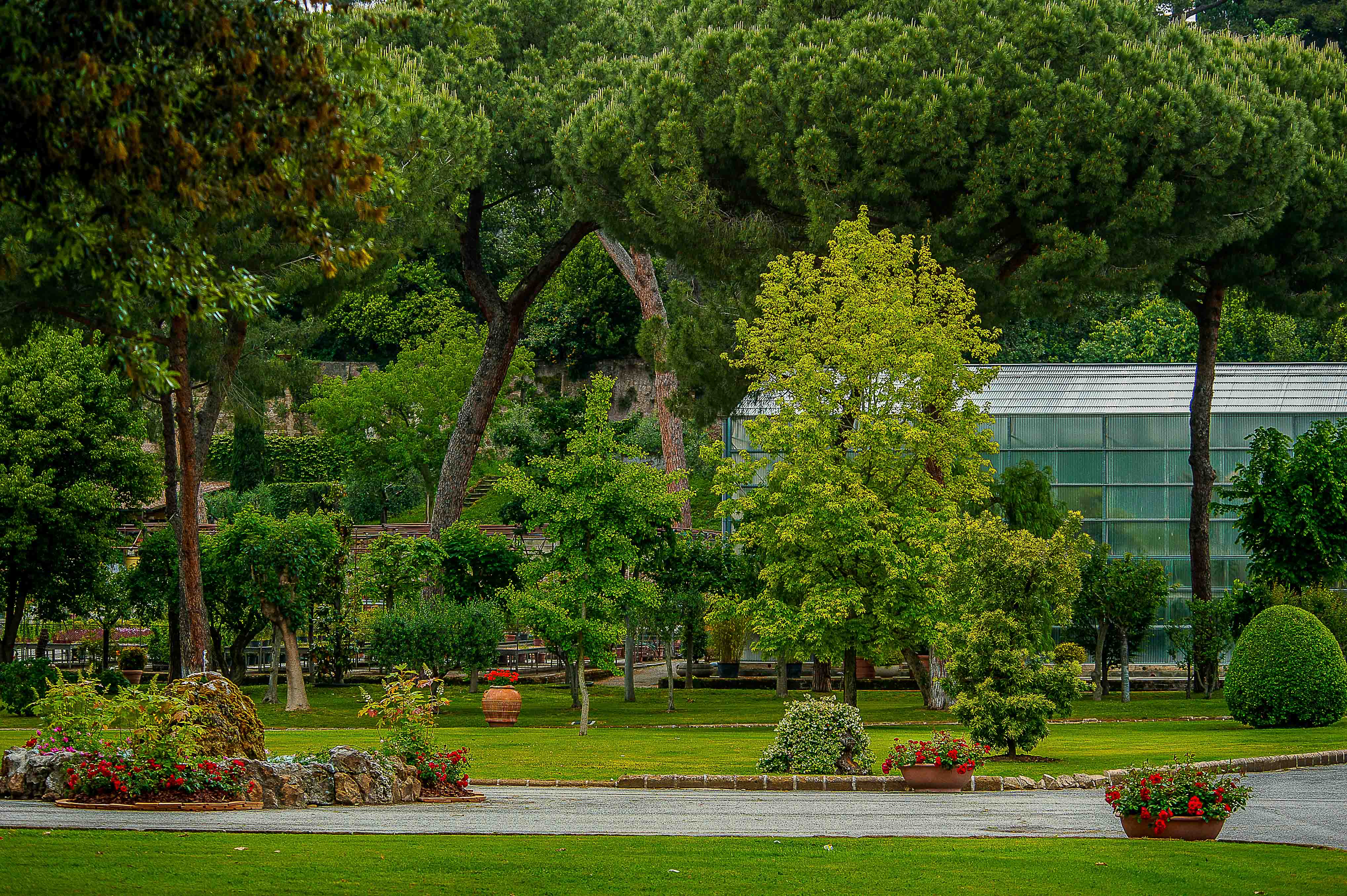 
VISITA LIS - SEMENZAIO COMUNALE DI SAN SISTO VECCHIO