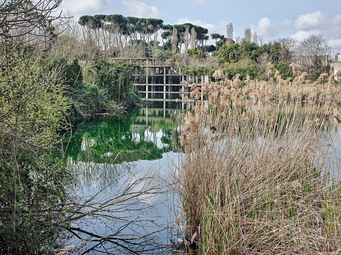 Il Bosco Per Il Lago Bullicante Ex Snia Biodiversit E Progetto Di Tutela Open House Roma