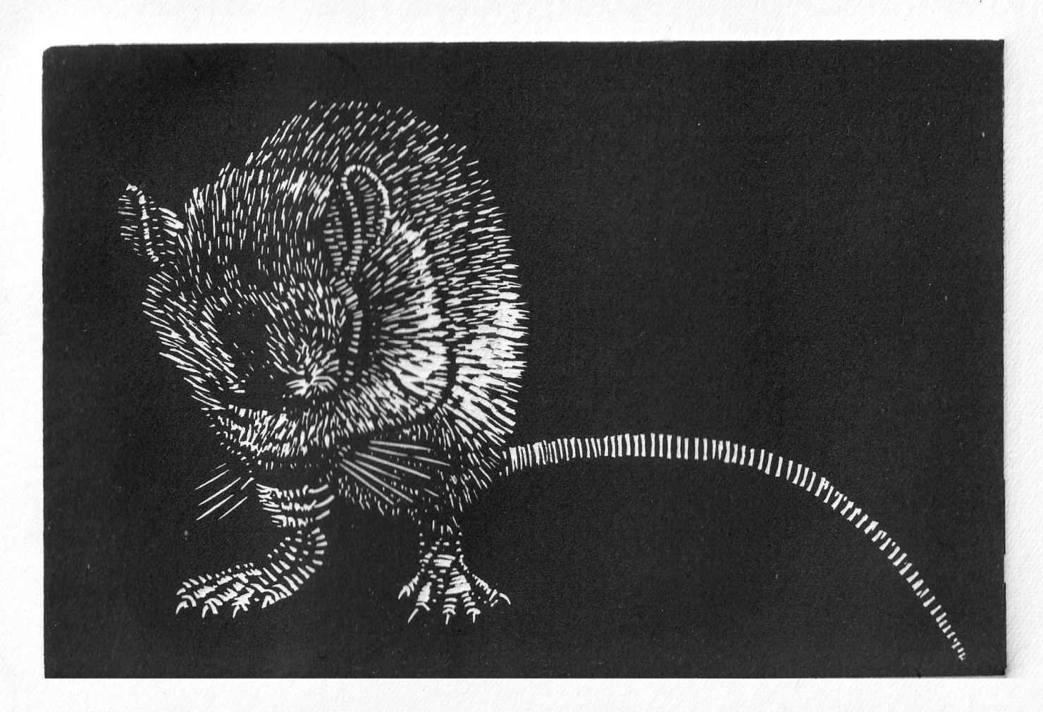 
In a State of Ubiquity - Esplorazioni visive