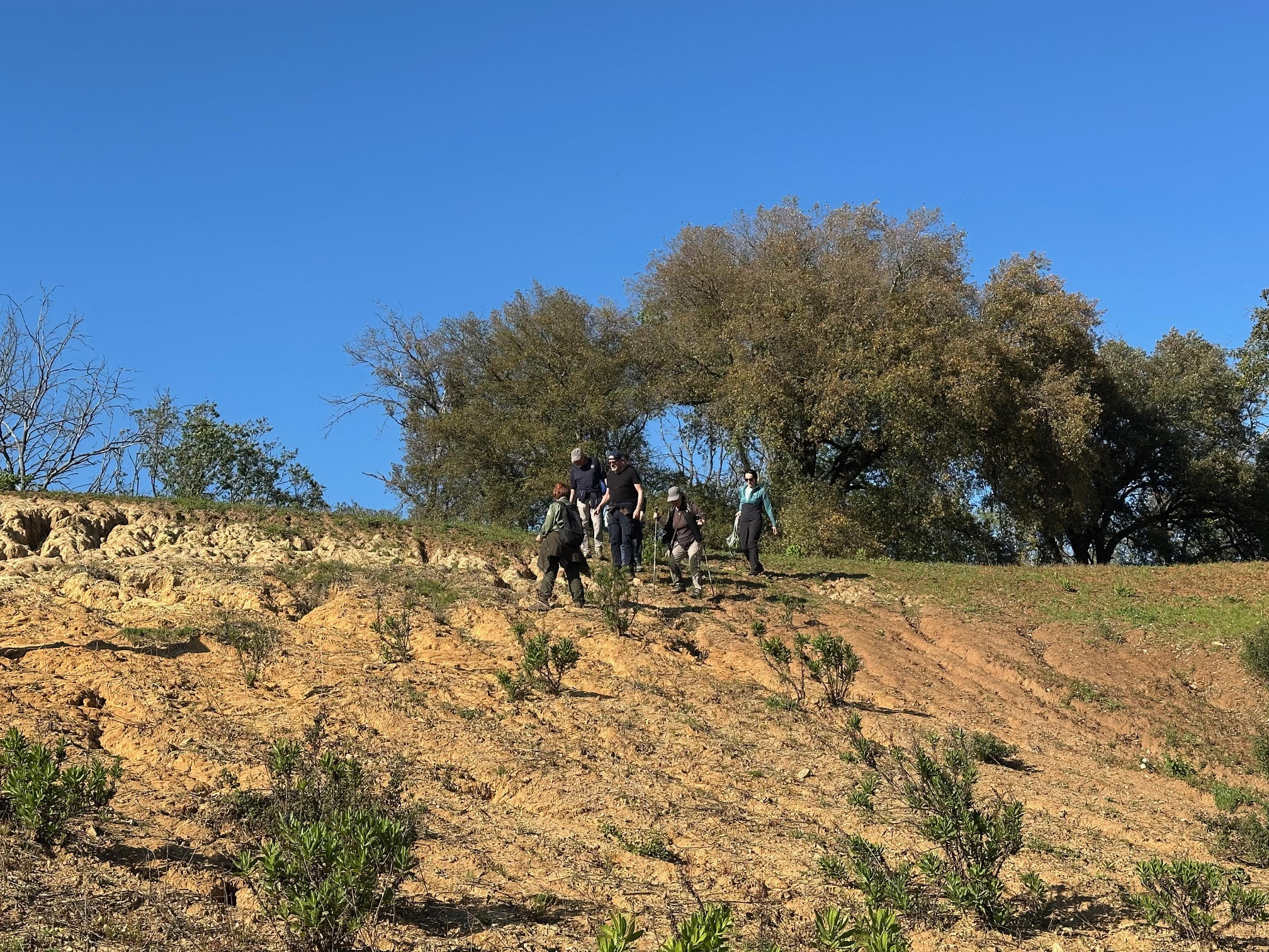 
Passeggiata storico-naturalistica al Parco dell’Insugherata